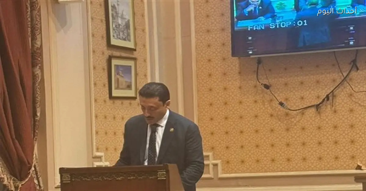 محمد رزق يطالب بإنشاء مستشفى طوارئ في العاصمة الإدارية