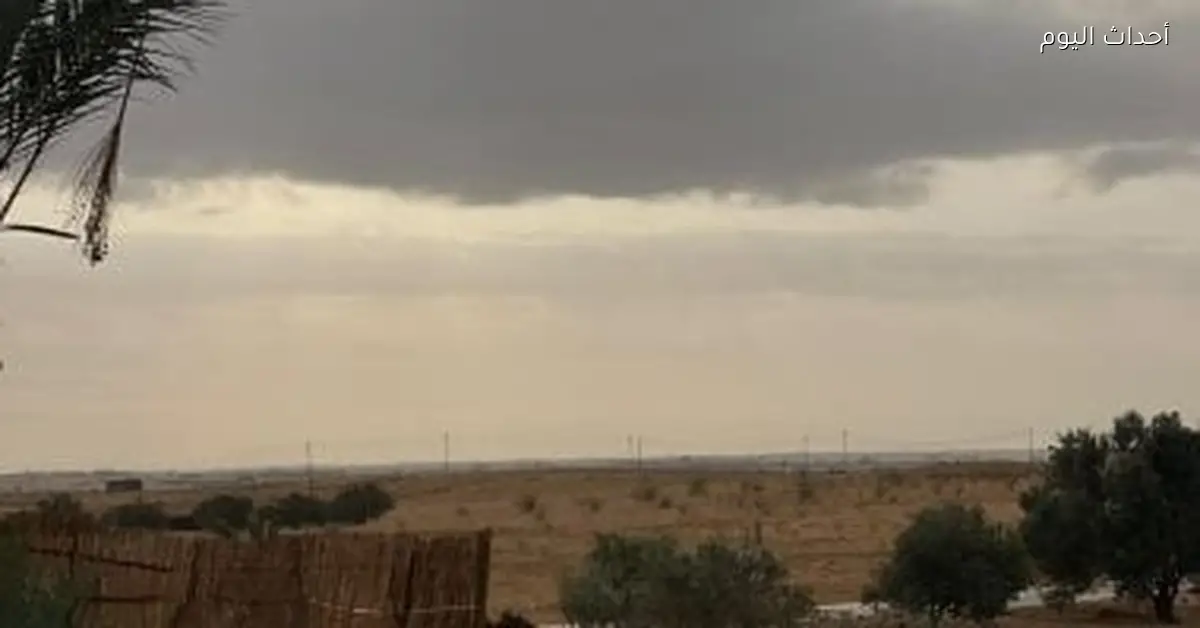 مركز المناخ يقدم نصائح لحماية المحاصيل من الطقس البارد