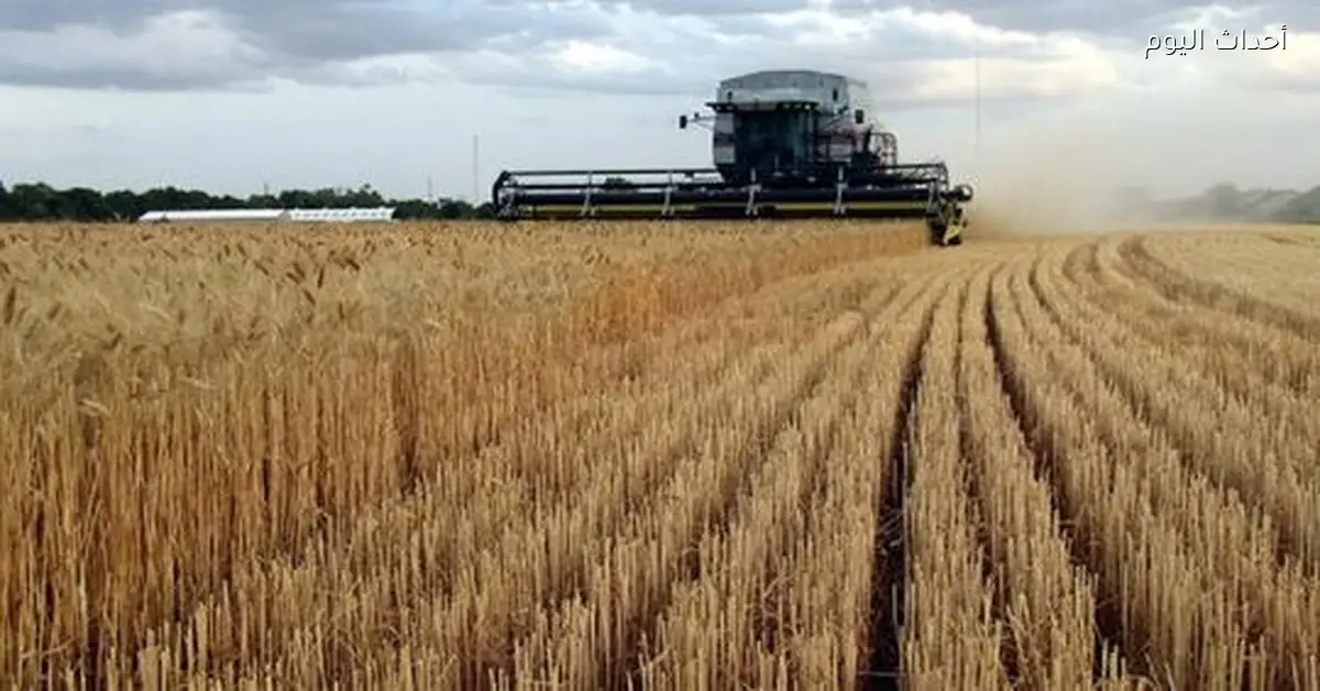 مصر بتأسس أول جامعة غذاء في الشرق الأوسط وإفريقيا بنظام متعدد الحُرم