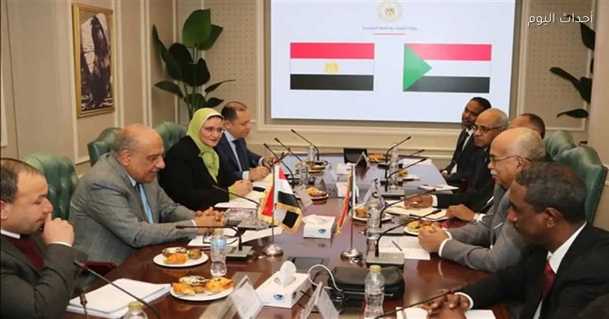 مصر والسودان تتعاونان في مجالات الكهرباء والطاقات المتجددة