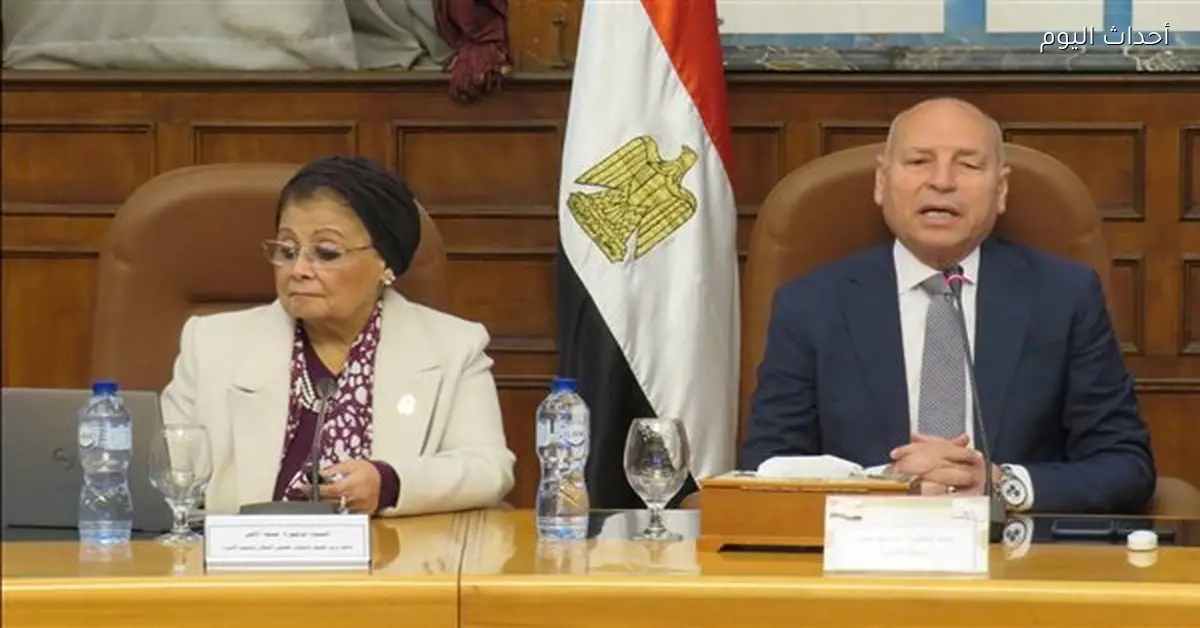 نائب وزير الصحة: القاهرة تحقق تقدمًا سكانيًا وتحول 8 مناطق حمراء إلى صفراء