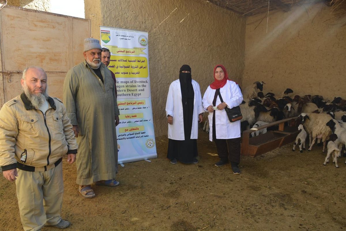 صورة من الورشة