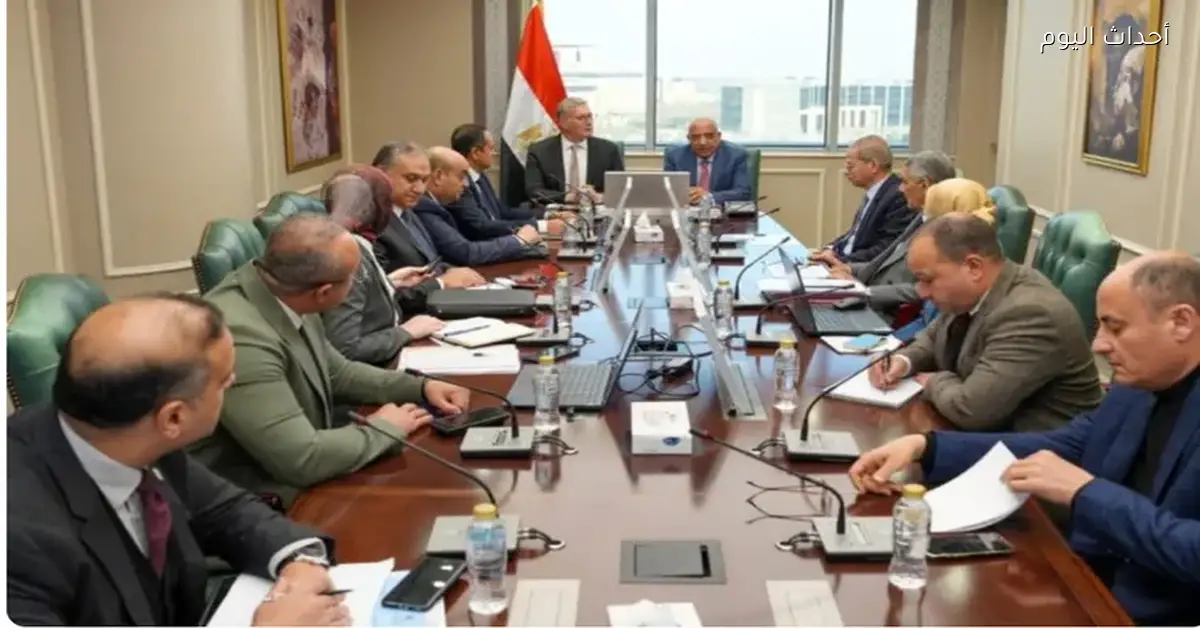 وزيرا البترول والكهرباء يناقشان خطط توفير الوقود لمحطات الكهرباء في الصيف المقبل