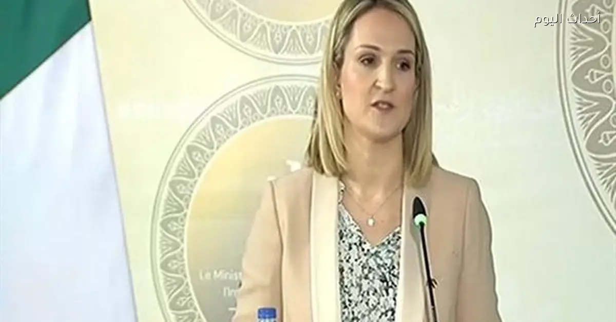 وزيرة الخارجية الأيرلندية تزور معبر رفح وتؤكد أهمية الدور المصري في تعزيز الاستقرار بالمنطقة