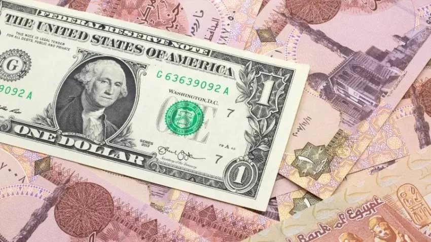 سعر الدولار اليوم