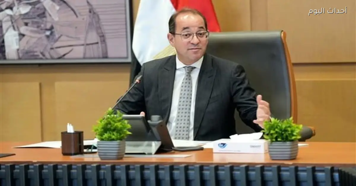 مركز المعلومات ينسق مع المالية لتطوير الخدمات الضريبية والجمركية