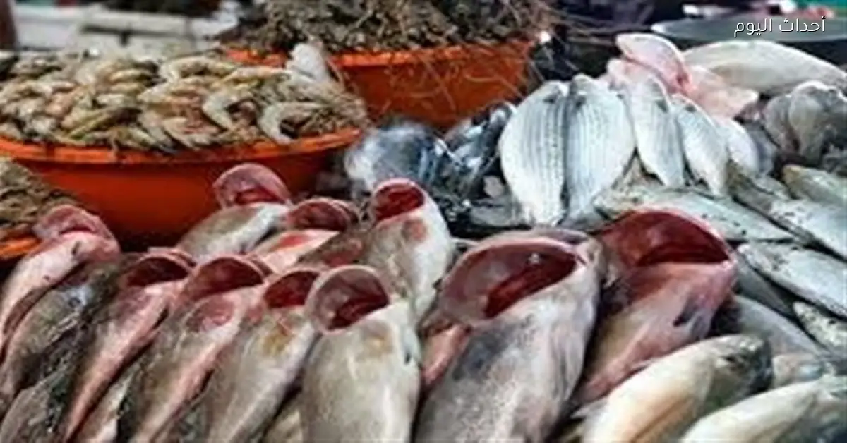 أسعار الأسماك ترتفع اليوم والجمبري والموسى تسجل قفزات كبيرة