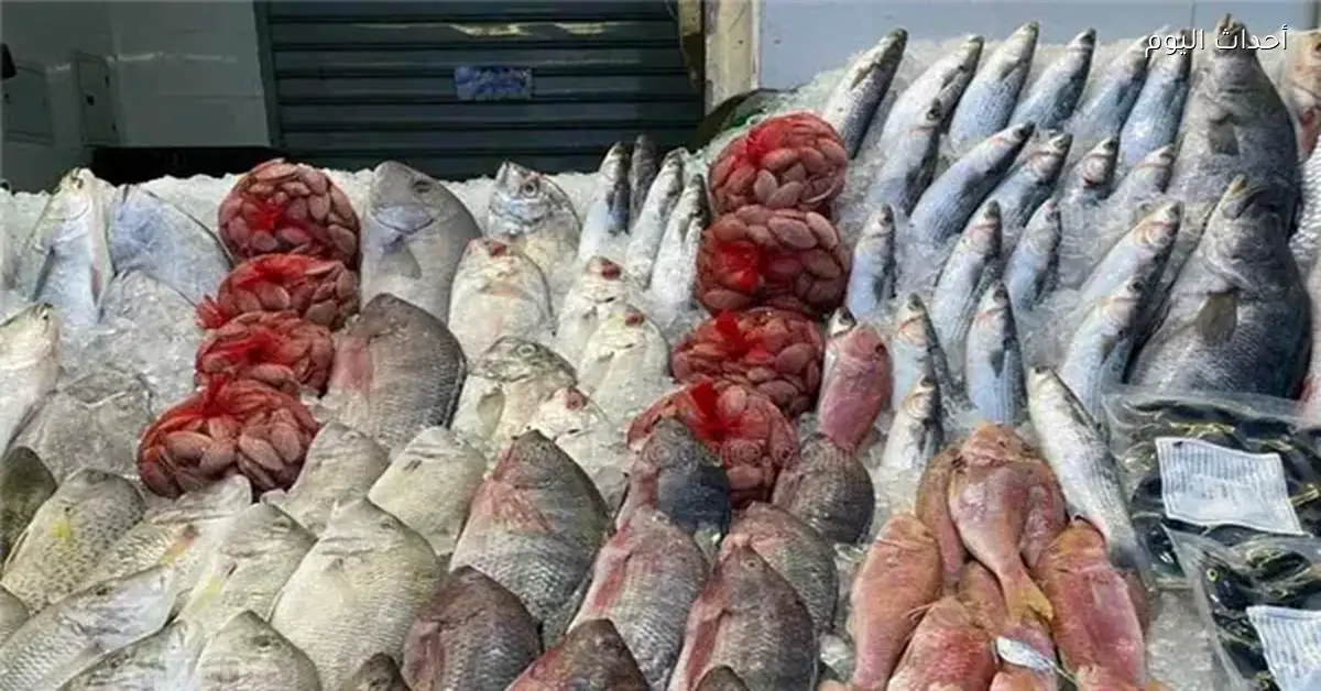 أسعار الأسماك والمأكولات البحرية في مصر اليوم 28 فبراير 2026