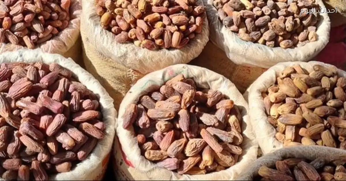 أسعار البلح تتفاوت قبل رمضان و«بوابة الأسعار» ترصد السوق