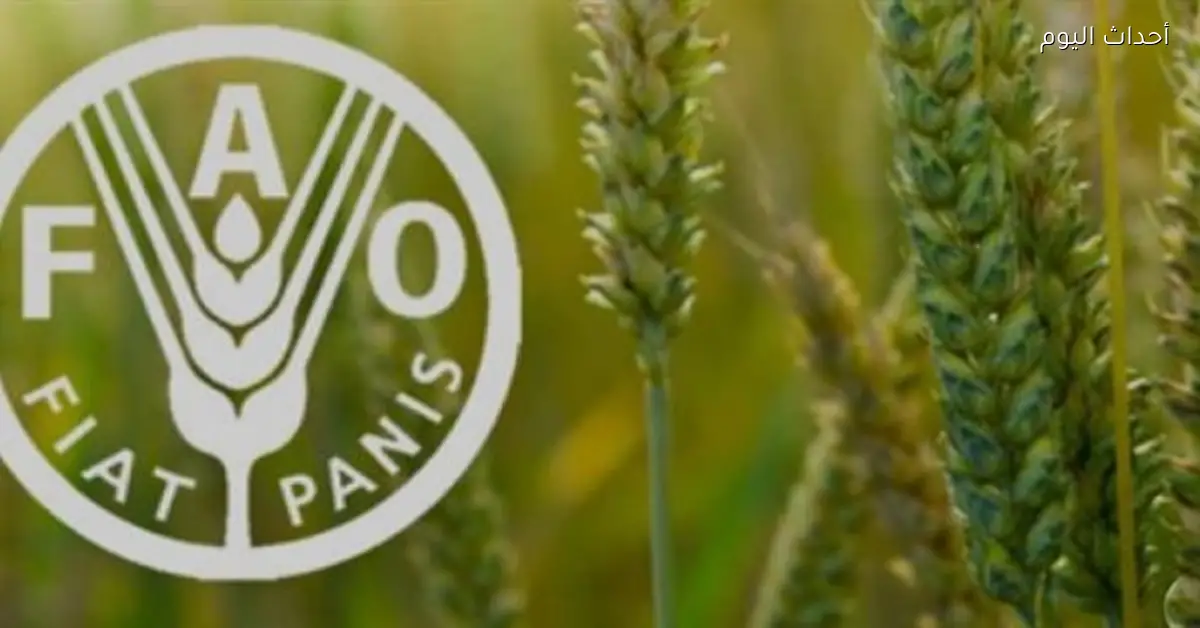 إنتاج الحبوب العالمي يتخطى 3 مليارات طن في 2025-2026