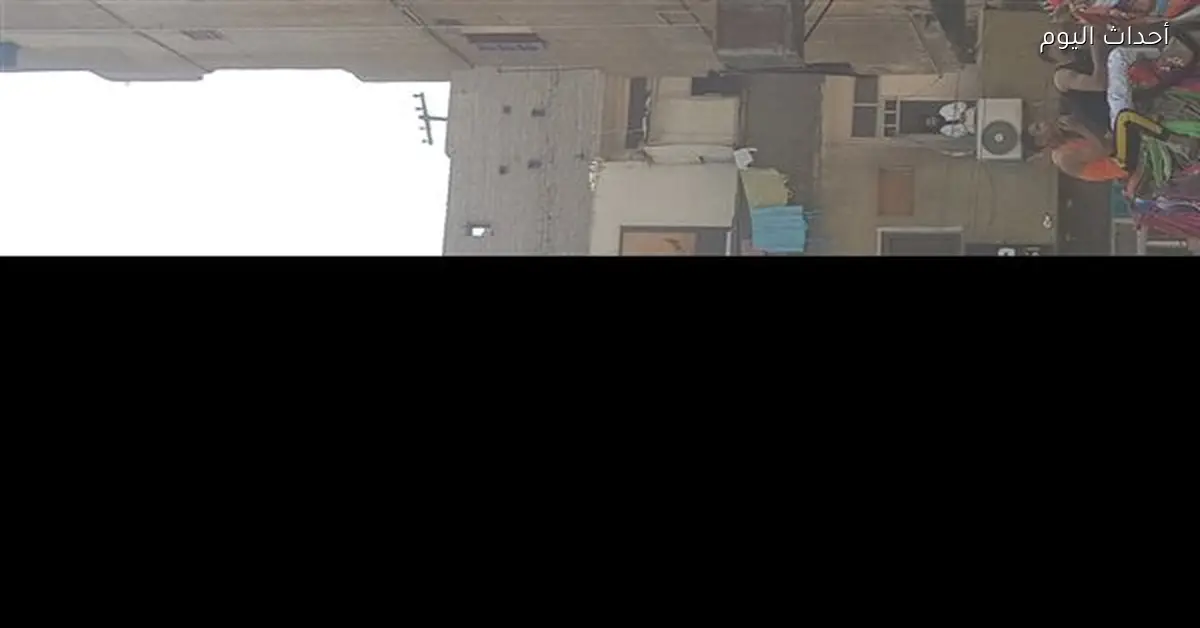 إيجار الجمل في الأقصر يصل إلى 6000 جنيه يومياً