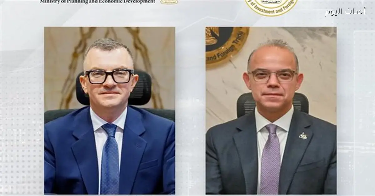 استثمار أجنبي مباشر في مصر عبر وزارتي التخطيط والاستثمار