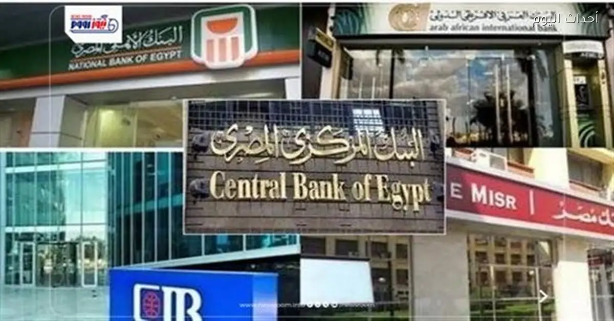 البنوك تسجل أعلى فائض أجنبي منذ 11 عامًا