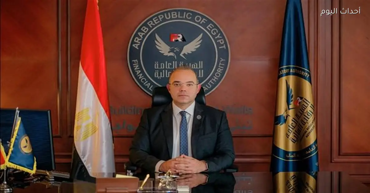 الرقابة المالية ترفع الحد الأقصى لتمويل المشروعات متناهية الصغر