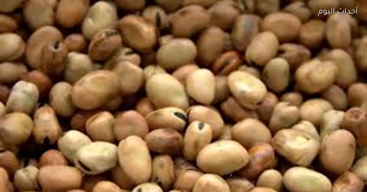 الفول يسجل 52.97 جنيهًا للكيلو خلال رمضان