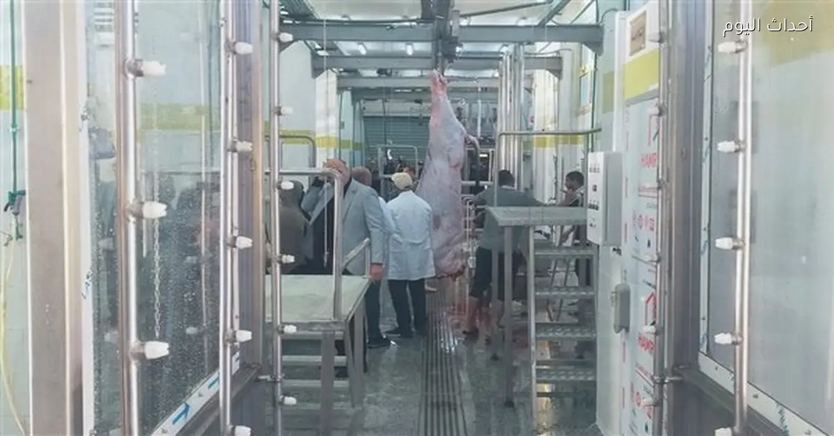 بدء التشغيل التجريبي لمجزر بلطيم بكفر الشيخ بتكلفة 36.7 مليون جنيه