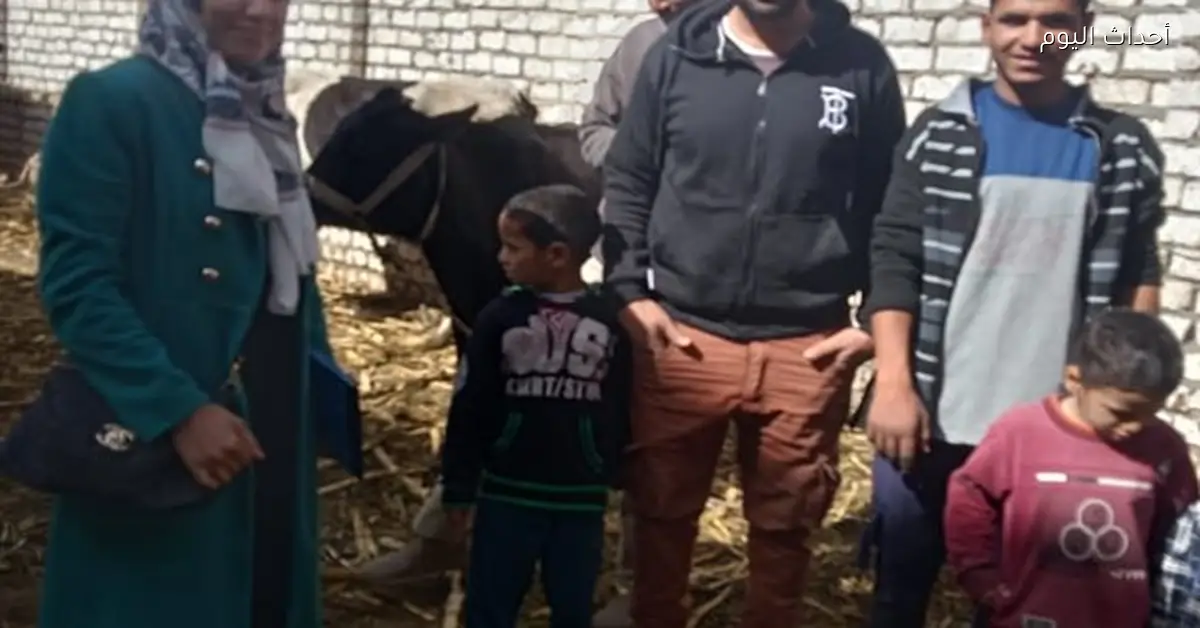 تحصين 30 ألف رأس ماشية في أسيوط عبر 600 لجنة ميدانية