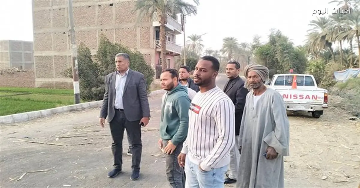 حملة لقص وتهذيب الأشجار في قوص جنوب قنا