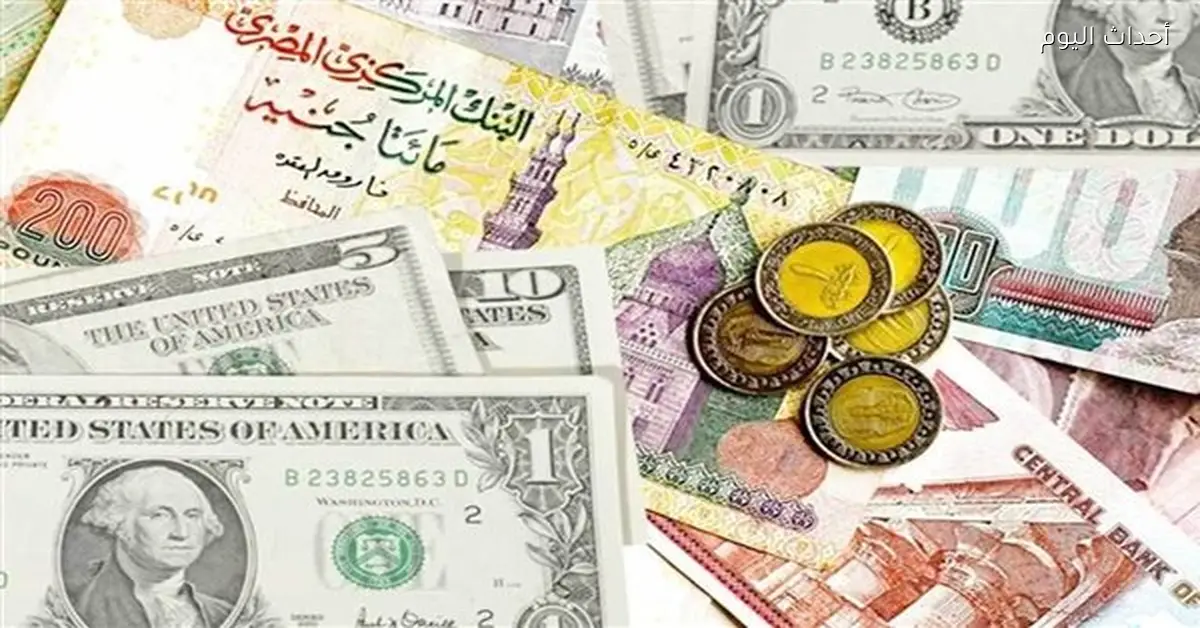 سعر الدولار في البنوك المصرية اليوم 28 فبراير 2026