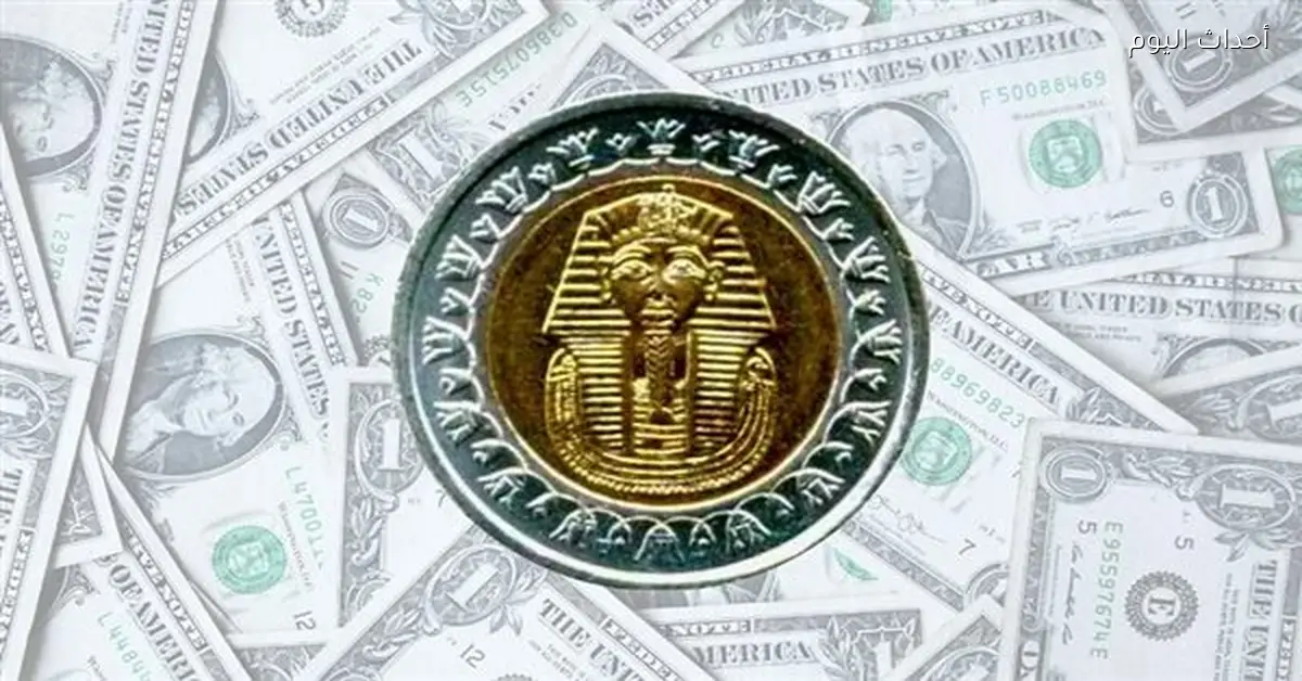 سعر الدولار مقابل الجنيه المصري اليوم 24 فبراير 2026