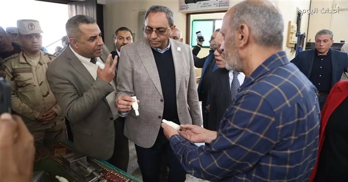 محافظ قنا والسفير الياباني يتفقدان المجمع الصناعي بالصالحية