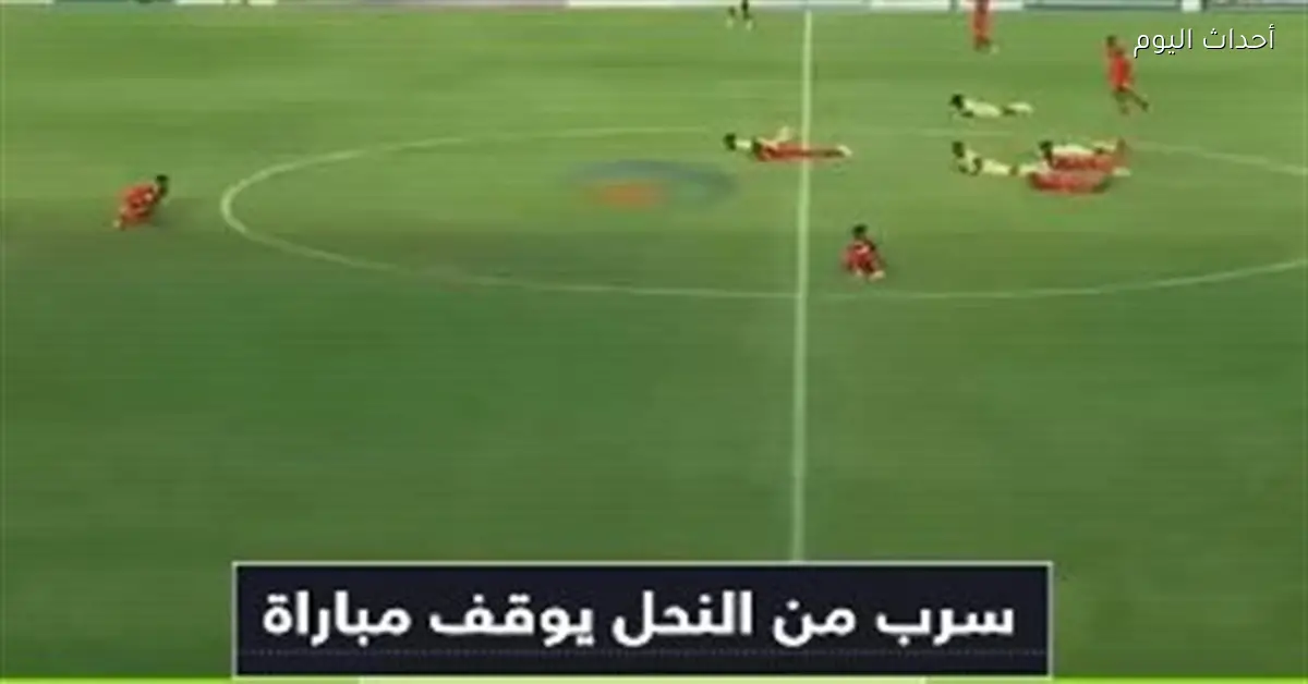 مدرب منتخب بنين للسيدات يوضح تفاصيل هجوم النحل في مباراة مصر