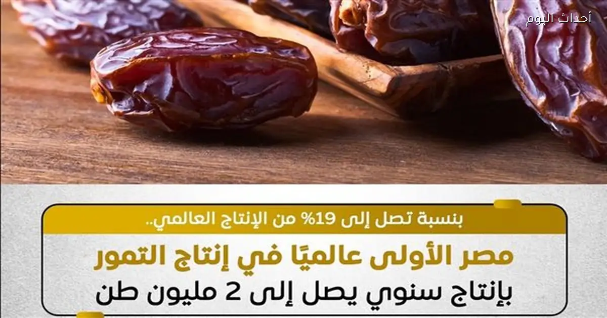 مصر تتصدر العالم في إنتاج التمور بـ 2 مليون طن سنويًا