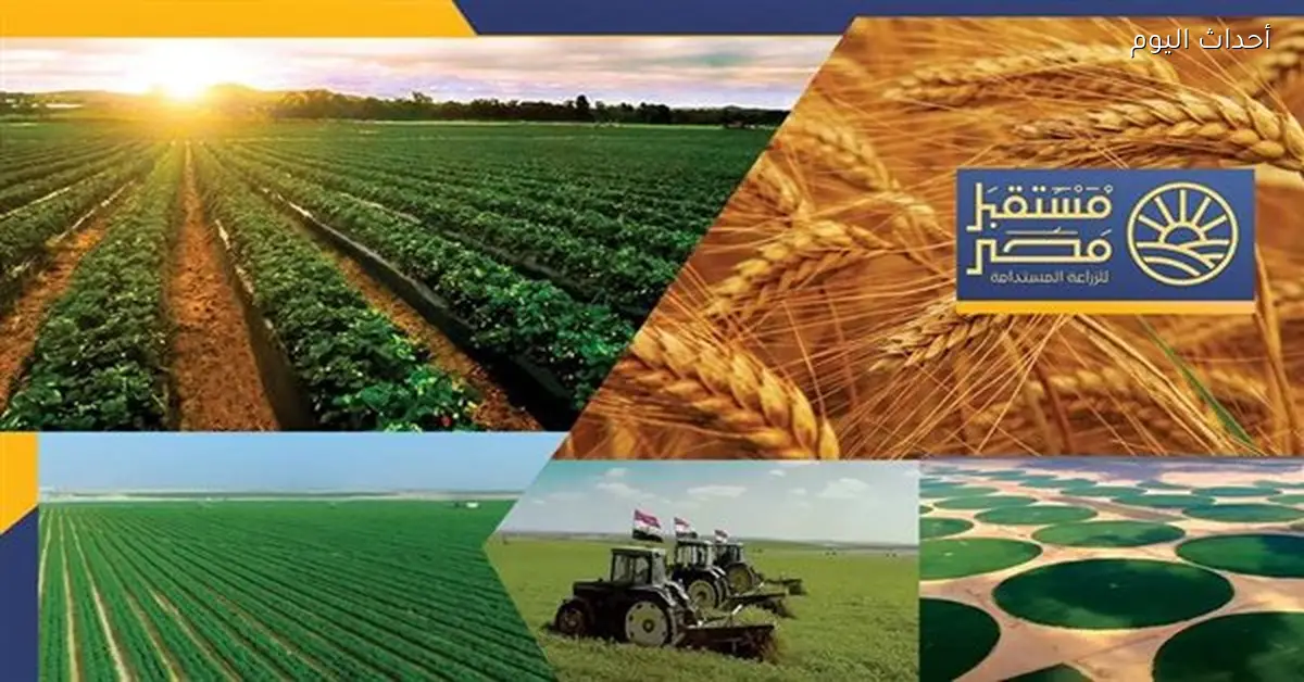 مصر تستعد لفتح البورصة لمواجهة احتكار السلع