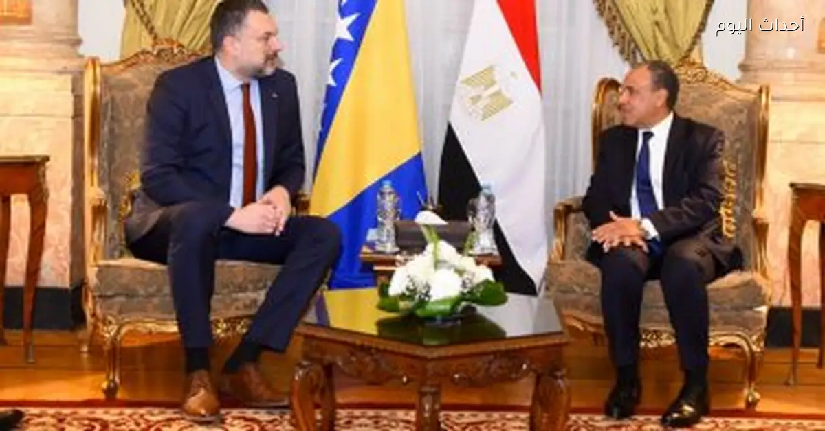 وزير الخارجية يناقش مع نظيره البوسني تعزيز العلاقات بين مصر والبوسنة