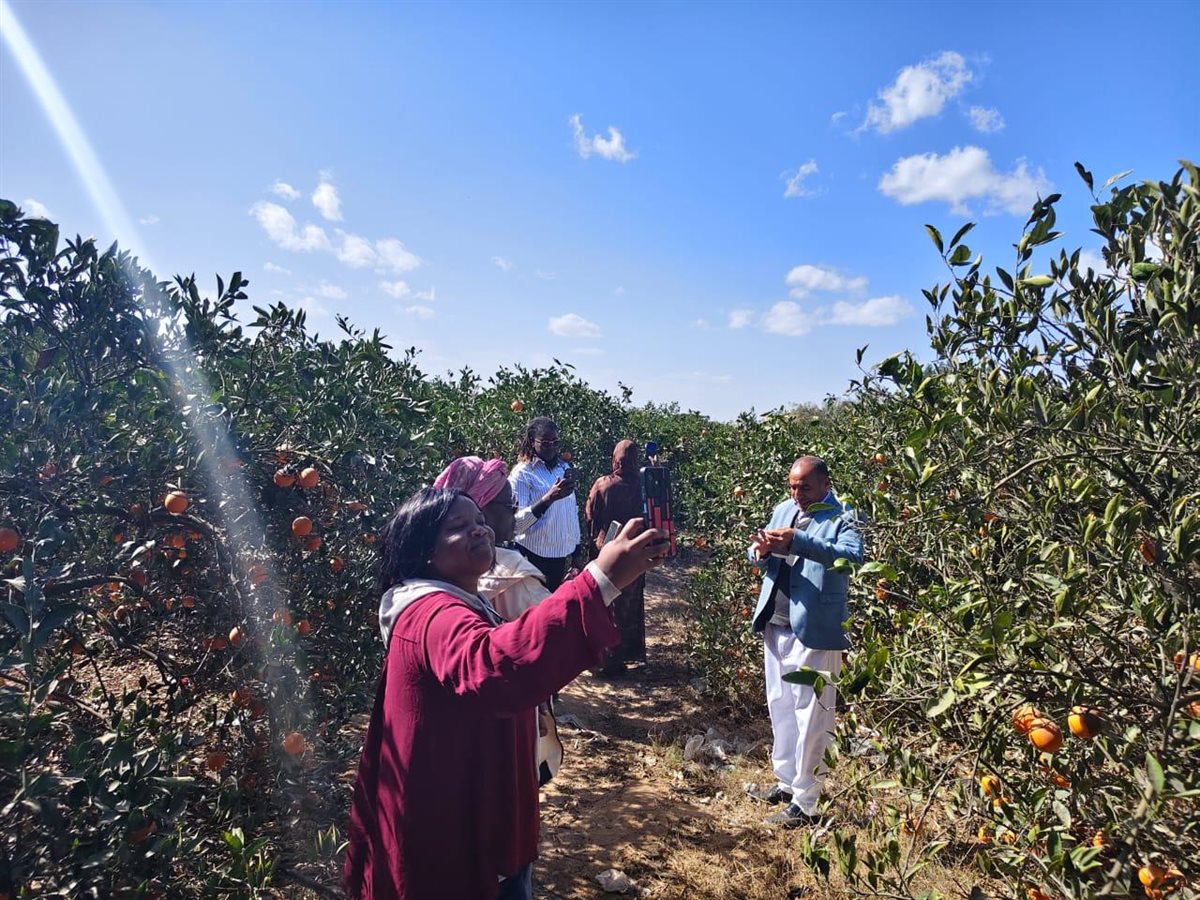 وزارة الزراعة