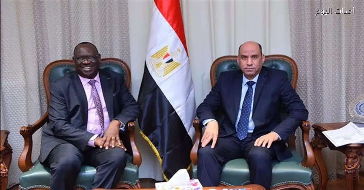 مصر تؤكد دعمها للجنوب سودان لتعزيز التعاون المشترك