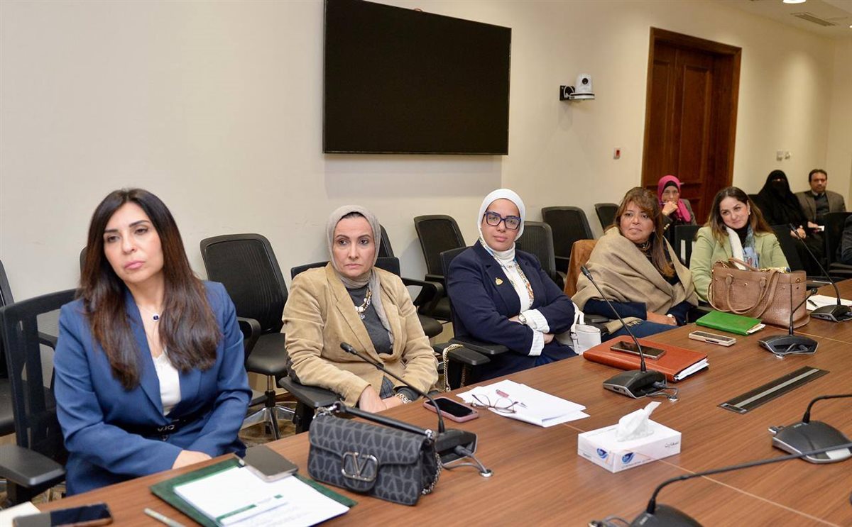 المجلس الأعلى لتنظيم الإعلام