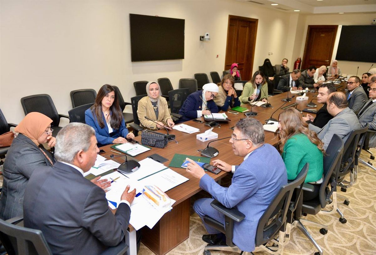 المجلس الأعلى لتنظيم الإعلام