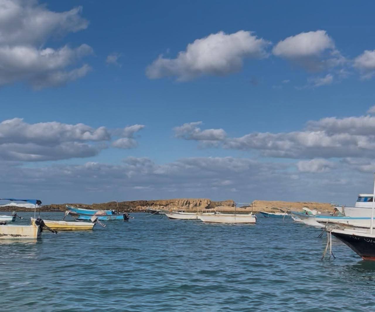 قوارب الصيد والنزهه_1