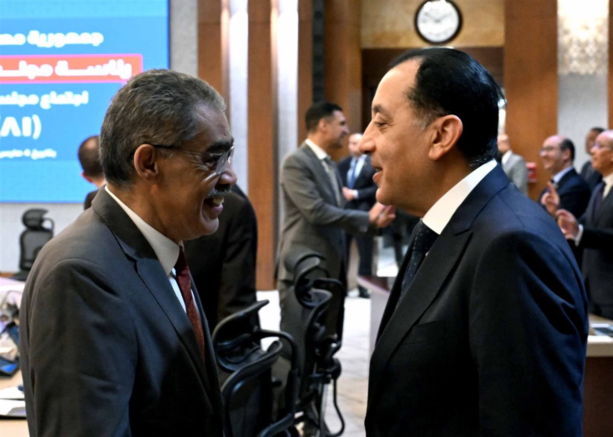 جانب من مجلس الوزراء 