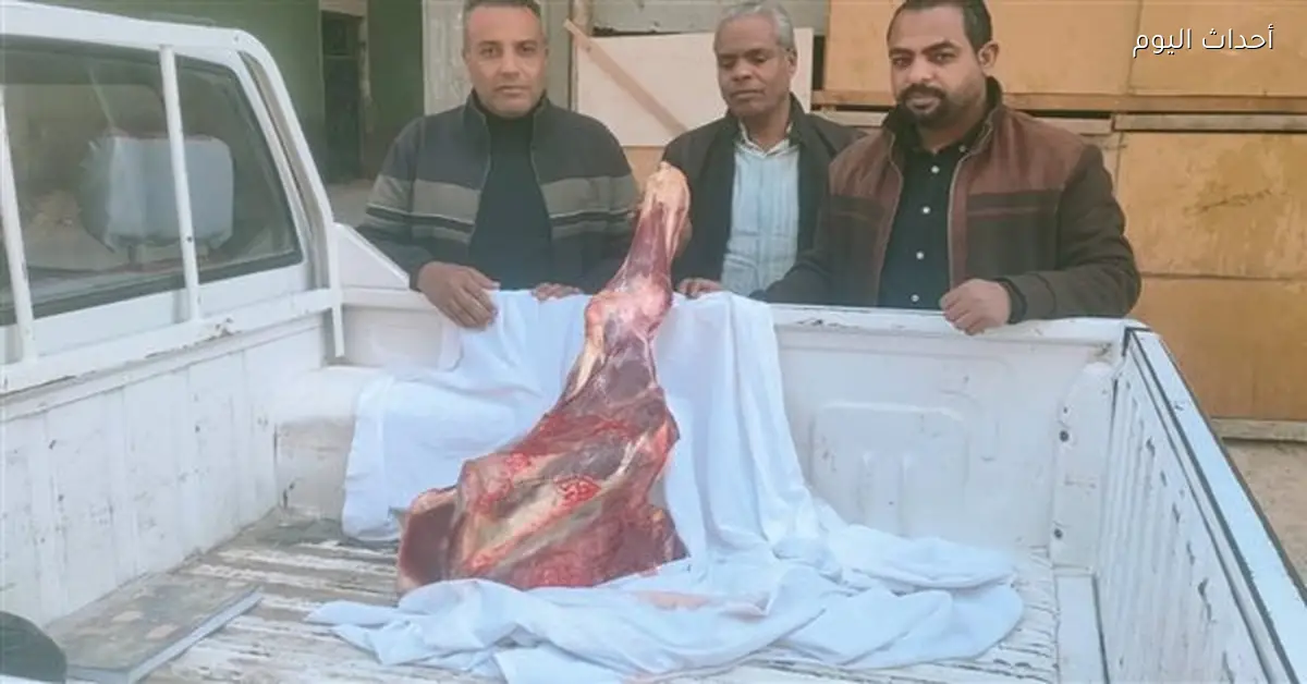 ضبط لحوم فاسدة في الأقصر خلال حملات تموينية مكثفة