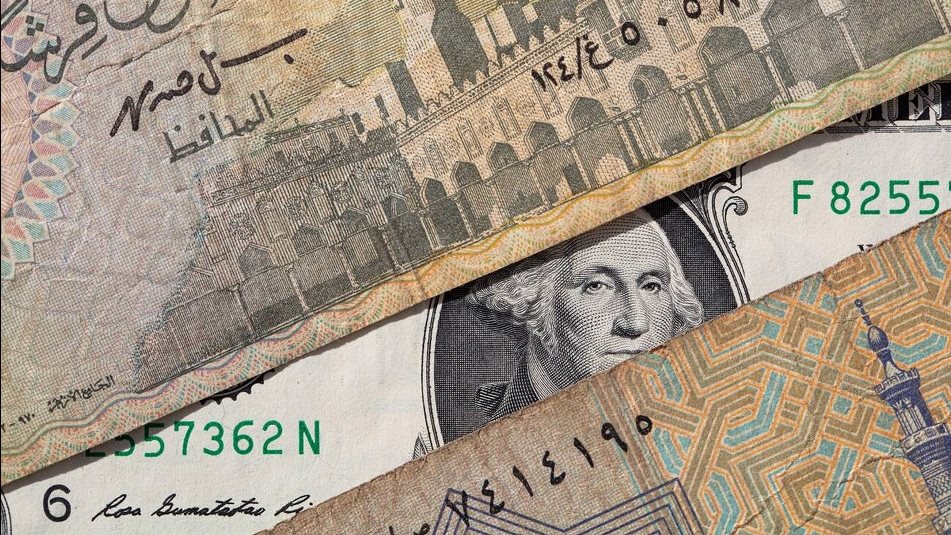سعر الدولار اليوم