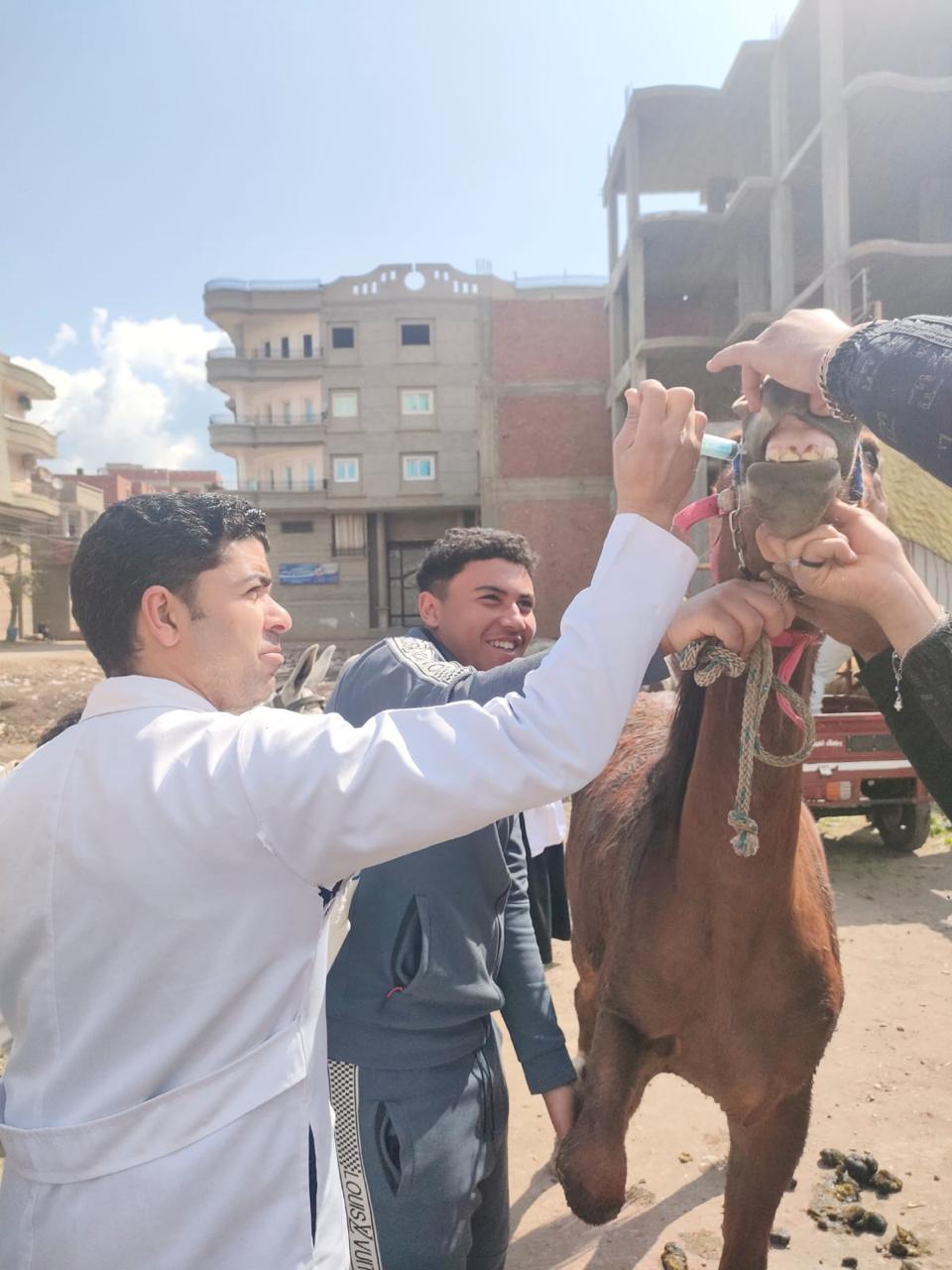 جانب من القوافل الطبية 