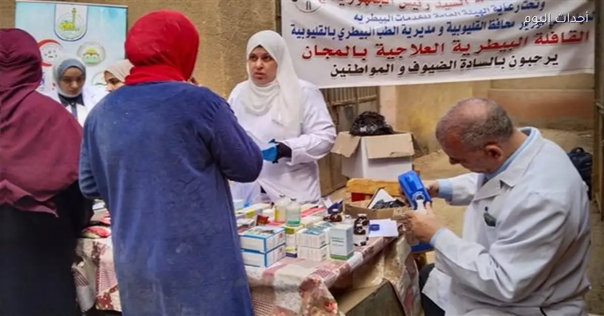 علاج أكثر من 145 ألف رأس ماشية و123 ألف طائر عبر القوافل البيطرية