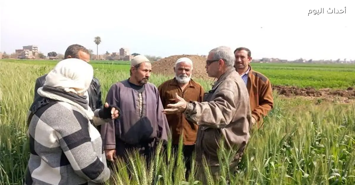 الزراعة تعرض جهود البحوث الزراعية خلال أسبوع