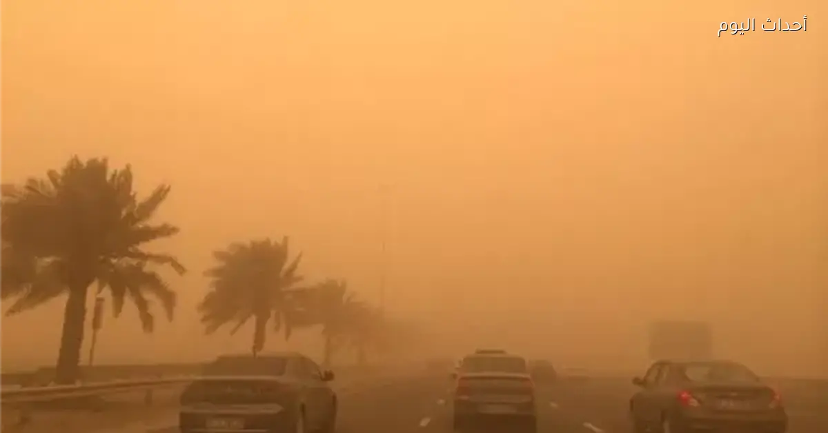 الصحة تحذر من العواصف الترابية وتنصح المواطنين بحماية أنفسهم