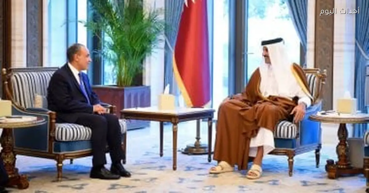 وزير الخارجية ينقل رسالة دعم من مصر إلى أمير قطر