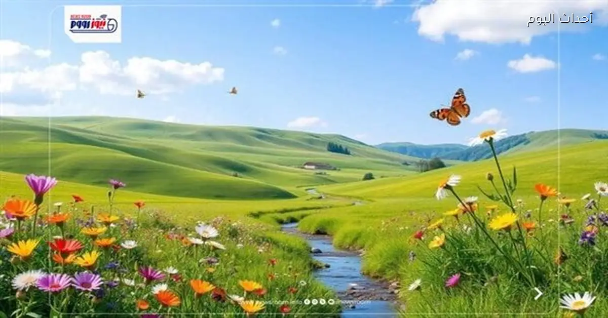 موعد الاعتدال الربيعي في مصر 2026 وظواهر جوية بارزة