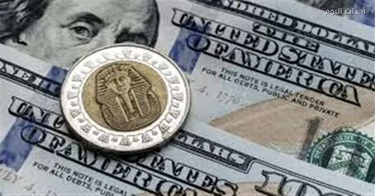 سعر الدولار يرتفع اليوم في البنوك المصرية 25 مارس 2026
