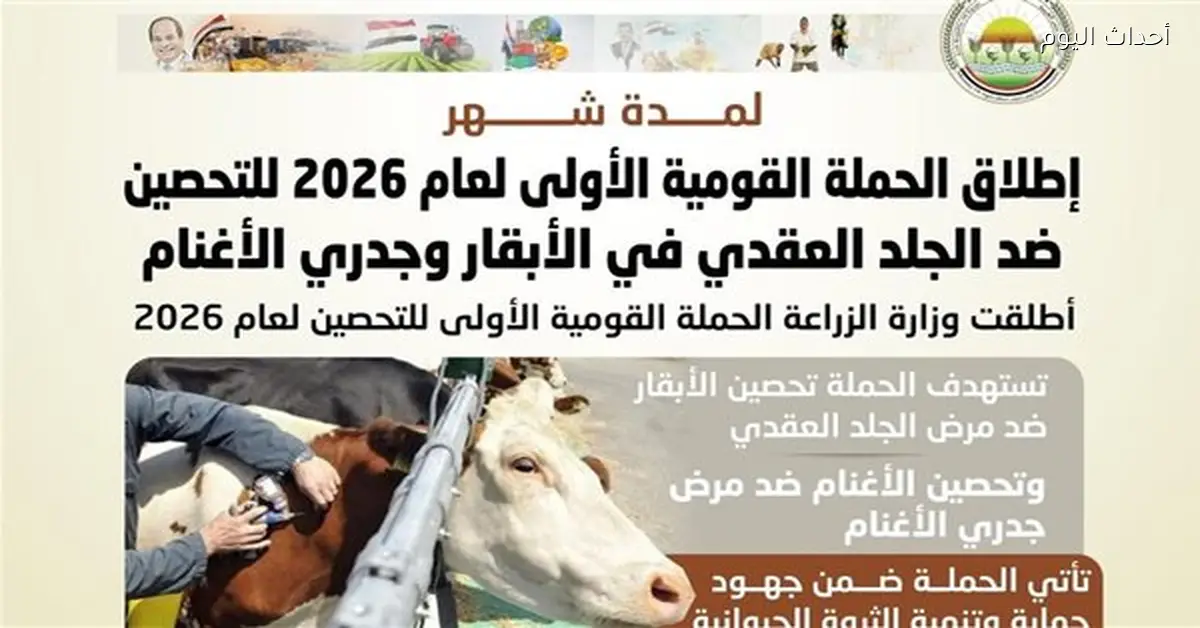 الزراعة تطلق حملة تحصين الماشية في جميع المحافظات لمدة شهر