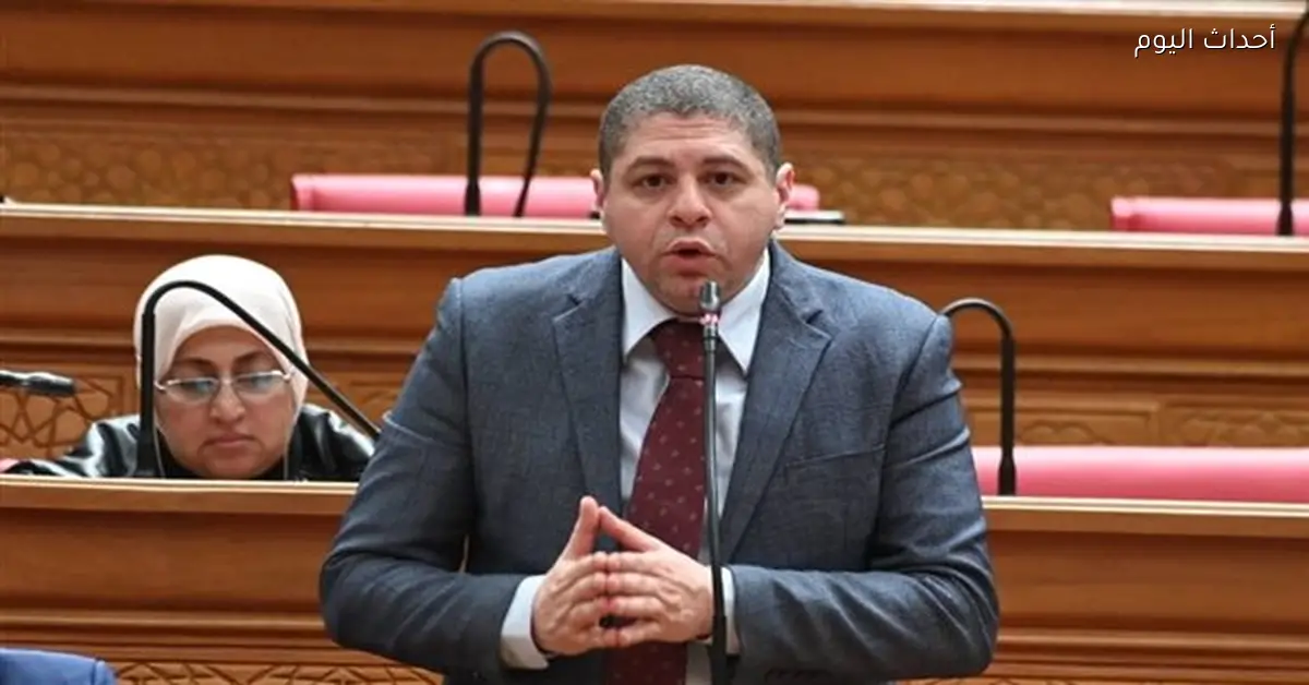 أحمد جبيلي: دور مصر المحوري في الاستقرار الإقليمي