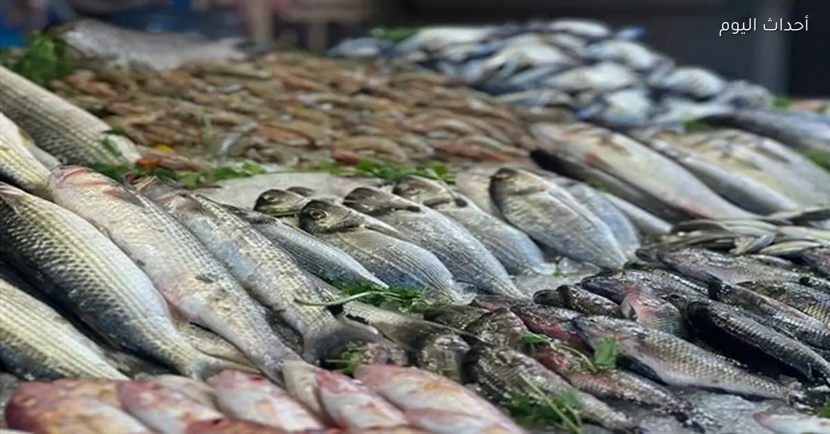 أسعار الأسماك في الأسواق المصرية اليوم 22 مارس 2026