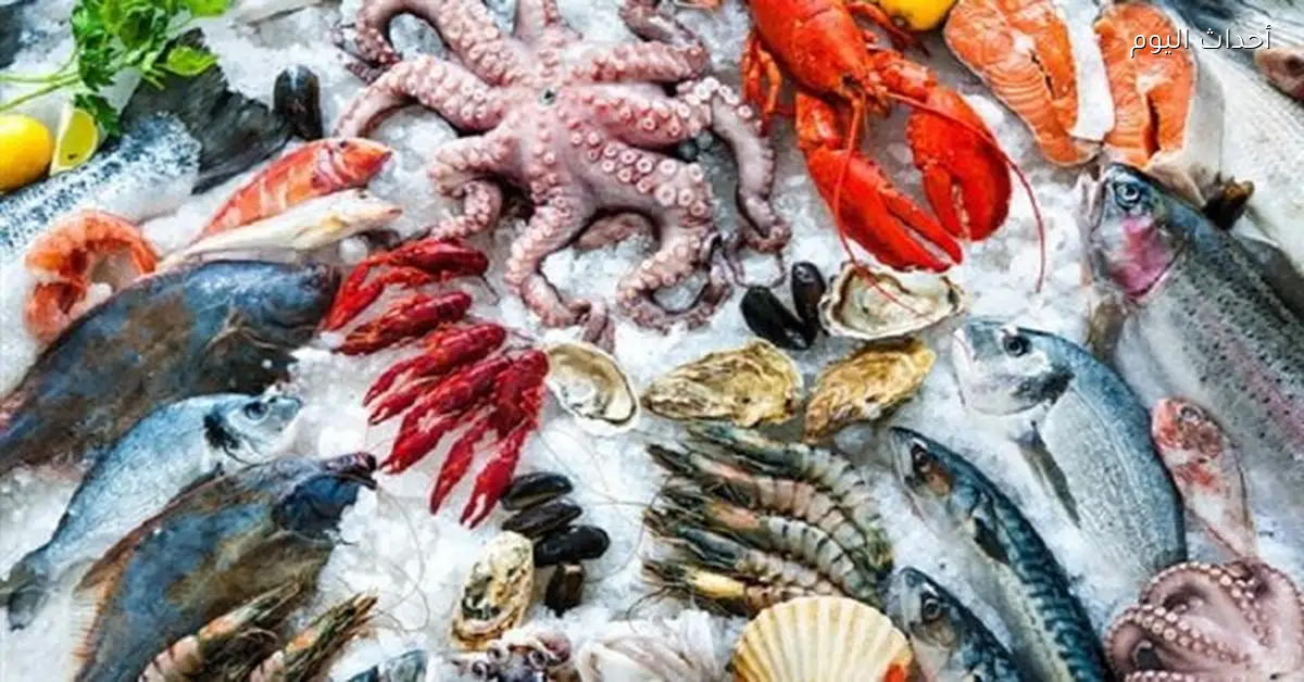 أسعار الأسماك في الأسواق المصرية اليوم 7 مارس 2026