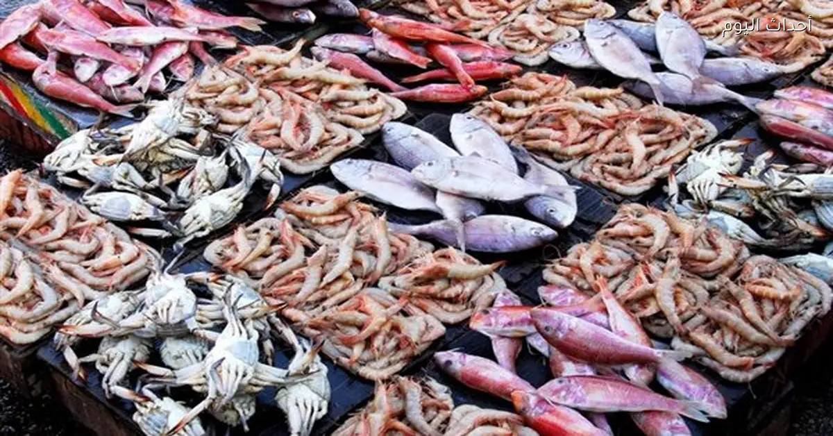 أسعار الأسماك والجمبري في مصر اليوم 2 مارس 2026