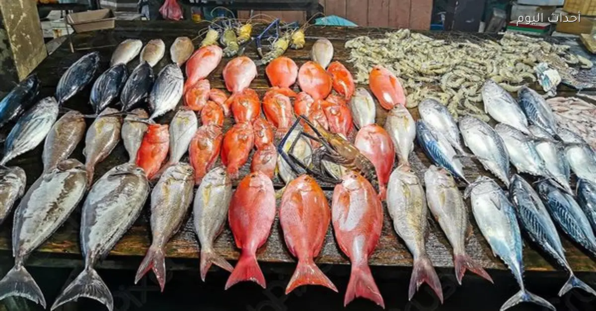 أسعار الأسماك والمأكولات البحرية في مصر اليوم 3 مارس 2026